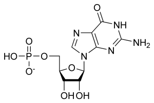 gmp_chemical_structure